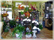 Le Jardin Florist :: North Palm Beach Flower Shop since 1986.